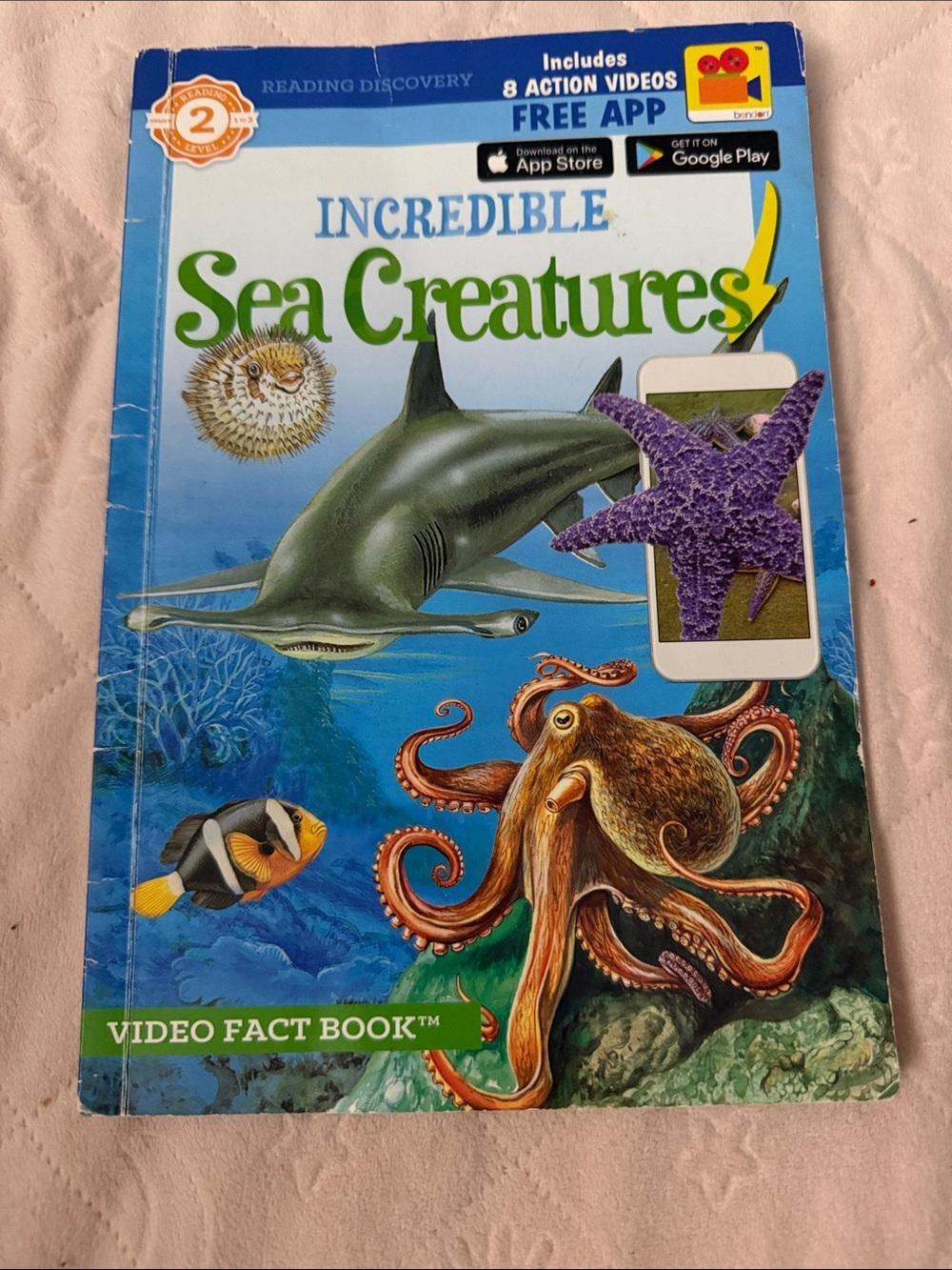 Incredible Sea Creatures Video Fact Book - Colorful Ocean Cover - Picture 1 of 5